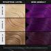 XMONDO Color Super Purple Mask & Semi-Permanent Dye | Bond Booster & Hyaluronic Acid | Vegan Nourishment & Repair | 8 Fl Oz - Buy Online on SooperMarket.com