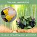 Bamboo Eczema Gloves for Women - Moisturizing Overnight Relief (3 Pairs) - Buy Online on SooperMarket.com