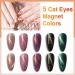 Besnel 60 Colors Nail Polish Kit - Gel Polish Set with Glitter, Cat Eyes, Temperature Changing Colors - Base Coat and Top Coat Included - Perfect Nail Art Starter Gifts - Buy Online on SooperMarket.com