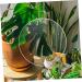 VILLCASE 40 Pcs Acrylic Round Sheet Cake Pan Acrylic Blanks Sheer Panels Acrylic Blank Circle Coaster Wafer - Buy Online on SooperMarket.com