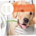 Kisangel 30 pcs Dual-head Handheld Clean Supplies Cat Nylon Oral Cleaning Brush Small Pet Puppy Portable 1 count (Pack of 1) Assorted Colorx3pcs - Buy Online on SooperMarket.com