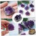 PRETYZOOM Purple Ornament 2pcs Amethyst Cluster Chips Rock Amethyst Gravel Geode Natural Crystal Adornment Irregular Fluorite - Buy Online on SooperMarket.com