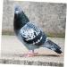 FOMIYES 300 Pcs Pigeon Anklet Ring Protector Parrot Leg Ring Foot Ring for Pigeon Xuan Feng Birds Baby 1.3X1.3CMx3pcs Orangex3pcs - Buy Online on SooperMarket.com