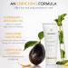 PHILIP B. Peppermint Avocado Shampoo & Conditioner Set - Volumizing & Clarifying Invigorating Peppermint Oil for Tingly Scalp | 7.4oz & 2oz - International Shipping Available - Buy Online on SooperMarket.com