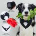 FUAMEY Dog Tuxedo Bandana with Bow Tie | Formal Wedding Attire for Dogs | Adjustable Collar for Small, Medium, Large Pets | Black-L - Buy Online on SooperMarket.com