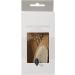 Kyte BABY Bamboo 3-Piece Brush Set - Goat Hair Brush, Wooden Bristle Brush, Bamboo Comb - Buy Online on SooperMarket.com