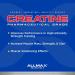 ALLMAX Nutrition - Creatine Monohydrate Micronized Creatine Powder for Strength and Muscle Recovery Gluten Free & Fast Absorbing 400g & ZMX2 90 Count - Buy Online on SooperMarket.com