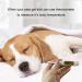 Pet First Aid Kit Veterinary First Aid Bag for Dog Cat Rabbit Animal with Otoscope feeder Perfect for Home Care and Outdoor Travel Emergencies - Buy Online on SooperMarket.com