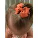 50 Pcs Tiny Baby Hair Clips - Alligator Clips Hair Bows for Girls in 25 Pairs - Hair Barrettes for Infants and Toddlers - Assorted Colors - Buy Online on SooperMarket.com