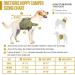 OneTigris Dog Pack Hound Backpack for Medium & Large Dogs | Ranger Green Large - Buy Online on SooperMarket.com
