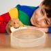 POPETPOP Hamster Food Bowl Bunny Food Bowls Pet Accessories Pet Feeder Hamster Supply Chinchilla Accessory Hamster Bowl Multifunction Gerbil Food Rack Guinea Pig Oak Rat Food Dish - Buy Online on SooperMarket.com
