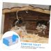 HAPINARY 1pc Hamster Toilet Trash Can Chinchilla Toilet Hamster Litter Toilet Small Pet Supply PVC 15x10cm Blue - Buy Online on SooperMarket.com