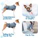 Supet Dog Recovery Suit for Pets | Post Surgery Healing Garment | Prevent Licking Wounds | Puppy Surgical Clothes M (Blue Striped) - Buy Online on SooperMarket.com