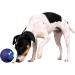 Trixie 3492 Snack Ball - Green Plastic Dog Toy (7 cm) | International Shipping Available - Buy Online on SooperMarket.com