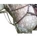 Shires Salisbury Five Point Breastplate Havana Extra Full - Buy Online on SooperMarket.com