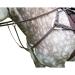 Shires Salisbury Five Point Breastplate Havana Extra Full