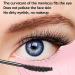 SHANPIN Silicone Winged Eyeliner Stencil & Mascara Guard - Reusable Pink Eyelash Tool - Buy Online on SooperMarket.com