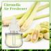 SCENTORINI Citronella Plugin Refills - Compatible with Air Wick Scented Oil Warmers | Essential Oil Air Fresheners for Home & Bathroom | 3 Refills - Buy Online on SooperMarket.com