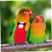 Iplusmile Parrot Suit - Bird Windula Accessories for Home Birds | Pet Needs & Clothing for Bird Lovers | Red Set - Buy Online on SooperMarket.com