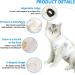 WLLHYF Cat Surgery Recovery Suit Breathable Kitten Onesie Full Bodysuit Clothes Post Neuter Surgery Spay Cone Anti Licking Abdominal Wound Protector for Small Male Female Pets (Medium) - Buy Online on SooperMarket.com
