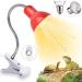 Shengruili turtle heat lamp 25W 50W heat lamp turtles reptiles lamp terrarium heat lamp for turtles terrarium reptiles terrarium heat lamp C-red