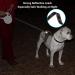 Buy Philorn 5m Reflective Retractable Dog Leash - Flexible Non-Slip Handle One-Button Lock for Medium to Large Dogs up to 50kg - International Shipping Available - Buy Online on SooperMarket.com