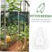VINTORKY 3pcs Vegetable Mold Ginseng Creative Melon Fruit Accessory Forming Machine Gourd - Buy Online on SooperMarket.com
