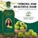 Dabur Natural Amla Hair Oil 180ml - Healthy Hair & Hydrated Scalp | Vital Indian Hair Oil for Men & Women - Shop Now - Buy Online on SooperMarket.com