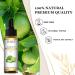 EUQEE Lime Essential Oil 10ml Pure Natural Lime Oils Aromatherapy Essential Oils for Diffusers for Home Relax Humidifiers Lime 10.00 ml (Pack of 1) - Buy Online on SooperMarket.com