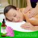 Organic Rosemary Oil for Hair Growth | 4.04 Fl Oz with Scalp Massager | Pure Essential Oil for Eyelashes Eyebrows & Skin Care - Buy Online on SooperMarket.com