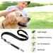 ICOUVA Dog Whistle 2 Pack Professional Ultrasonic Dog Training Whistle With Lanyard Neck Strap Training Assistant for Recall and Barking Control - Buy Online on SooperMarket.com