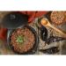 Buy Organic Quail & Pinto Beans - Gourmet Quality Dried Whole Beans (400g) | Natural Protein Boost for Healthy Living - Buy Online on SooperMarket.com