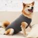 Heywean Dog Recovery Suit - Post-Surgery Wound Protection for Dogs | Professional Medical Shirt | Gray | Size L (1 Pack) - Buy Online on SooperMarket.com