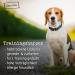 Chewies Training Swap Horse - Monoprotein Dog Snack - 300g Cereal & Sugar-Free - Soft Hypoallergenic Treats for Training - Buy Online on SooperMarket.com