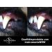 Premium Stainless Steel Dog Tartar Remover | Pointed Tooth Cleaner & Toothbrush Replacement | Zartar Scratches Type 18 for Effective Pet Dental Care - Buy Online on SooperMarket.com