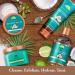 Tree Hut Bare Moisturizing Shave Oil 2oz - Essential Care for Soft Smooth Skin | International Shipping Available - Buy Online on SooperMarket.com