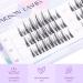 Arison Lashes Manga Cluster DIY Eyelash Extensions - Natural Look Wispy Anime Cosplay False Eyelashes with Bottom Lashes - Easy to Use for Beginners - 1 Pack - Buy Online on SooperMarket.com