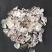 100g Natural raw Clear Smokey Quartz Rough Stone Natural Quartz Crystals Stone for Natural Luster - Buy Online on SooperMarket.com