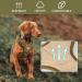 Auroth Tactical Anti-Pull Dog Harness | Size Large (Neck 46-74cm, Chest 61-94cm) | Adjustable & Breathable Pet Vest in Green Brown Army Green | Reflective Military Materials - Buy Online on SooperMarket.com