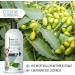 Reavet Dog Shampoo for Itching - Neem Oil Formula for Mites Fleas Ticks | Suitable for All Breeds & Puppies - Pleasant Fragrance 500ml - Buy Online on SooperMarket.com