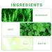 Rosemary Mint Hair Shampoo & Serum Set | All Hair Types | Nourishing Rosemary Oil for Men & Women - Buy Online on SooperMarket.com
