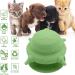 MoYouno Newborn Pet Feeder Set - 4 Teats Puppy Bottles & Silicone Milk Bowl 150 ML - Ideal for Nursing Puppy, Kitten, Squirrels - Green - Buy Online on SooperMarket.com