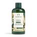 The Body Shop Shower Gel  Moringa  8.4 Fl Oz (Pack of 1) Moringa 250ml