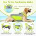 Hjyokuso Cool Vest for Dogs | Summer Cooling Jacket for Small Medium & Large Dogs | Ideal for Outdoor Activities & Training - Buy Online on SooperMarket.com