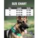 Joytale Tactical Dog Collar | Durable Dog Collar with Handle for Large Dogs | XL Turquoise with QR Code Dog Tag - International Shipping Available - Buy Online on SooperMarket.com