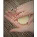 Vanilla Bean Noel Moisturizing Lotion Bar - 1.5 oz Waterless Lotion for Dry Skin - International Shipping Available - Buy Online on SooperMarket.com