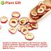 Buy Dried Hawthorn Berries (Shaanzha) - 80g Plant Gift for Health Tea | International Shipping - Buy Online on SooperMarket.com