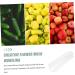 SUPVOX 4 Pcs Fruit and Vegetable Shaping Mold Plant Quincunx - Buy Online on SooperMarket.com