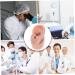 Beavorty 3 Pcs Human Ear Model Set | Silicone Ear Models for Studs | Simulation Piercing Ear Display Prop 6.5x3.5cm (Coffee, 3pcs) - Buy Online on SooperMarket.com