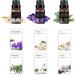 Floral Fragrance Oil Collection - Premium Grade 6-Pack Gift Set for Diffuser, Candle Making, Soap, Slime & Aromatherapy - Jasmine, Vanilla, Freesia, Lily, Rosemary - 10ml Bottles | Floral Organic Scents - Buy Online on SooperMarket.com